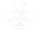 jambore agen perdamaian